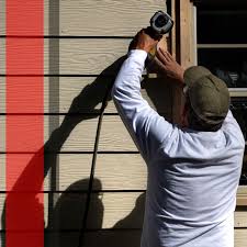 Best Siding Painting and Refinishing  in Erwin, NC